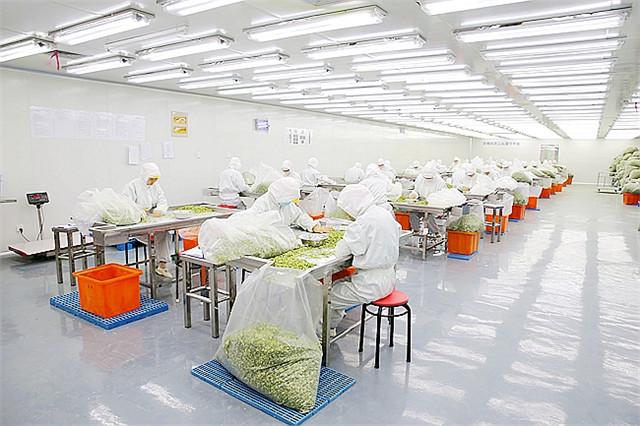 西安凈化工程是什么？施工過程中要注意什么？
